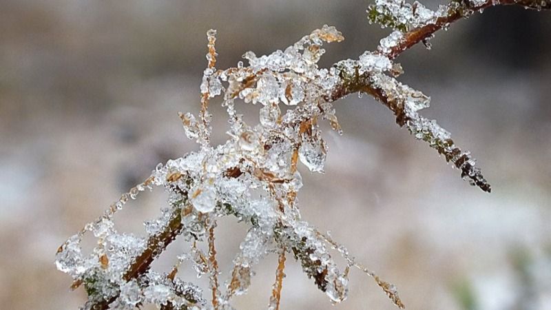 Meteoroloji Açıkladı: Hava Sıcaklıkları Azalacak! Bazı Bölgeler İçin Zirai Don Uyarısı Yapıldı