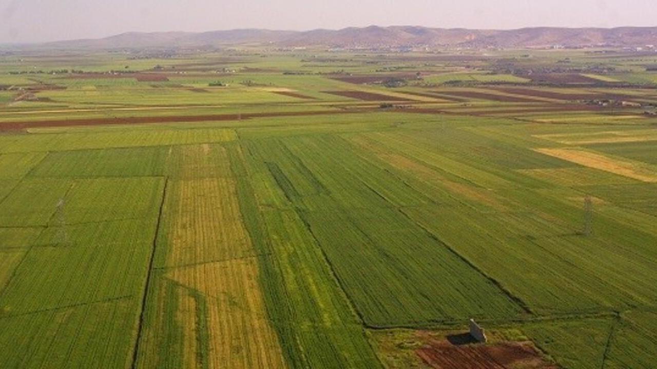 Devlet Boş Arazileri Vatandaşın Kullanımına Sunuyor: Hazine Arazisi Kiralama Şartları Nelerdir?